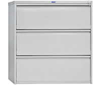 Картотека Практик AMF-1091/3