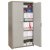 Сейфовый шкаф D-81.500 G