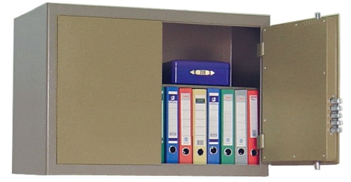 Сейф D-ANT.500 G, цвет 38/34 (бежево-оливковый)